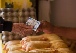 El bolsillo de los mexicanos necesita $846.40 para adquirir los productos de la canasta básica en la Central de Abastos en la alcaldía de Iztapalapa, reveló la Profeco. Foto: Cuartoscuro 