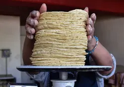 Unas manos pesan el alimento de tortillas en una báscula. 