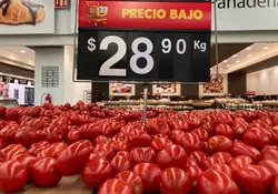 Venta de jitomate en un supermercado y un letrero con el precio por kilo. 