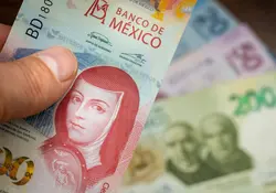 Una mano sostiene un billete de 100 peso, detrás hay billetes de 200, 50 y 20 pesos. 