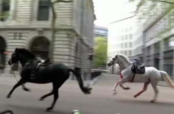 Caballos corren por las calles de Londres 