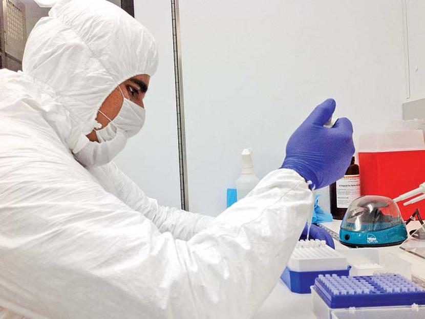 Con el fin de contener el virus H7N3, el Senasica mantiene una campaña masiva de vacunación en diez entidades del país. Foto: Archivo