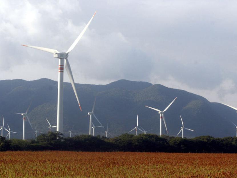 Actualmente el sector privado promueve 185 proyectos de energías renovables. Foto: Cuartoscuro.