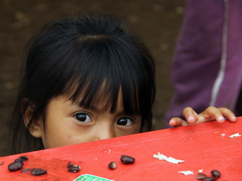 Latinoamérica tiene la capacidad de acabar con el hambre antes de 2025 gracias a las políticas sociales para el acceso a los alimentos. Foto: Especial