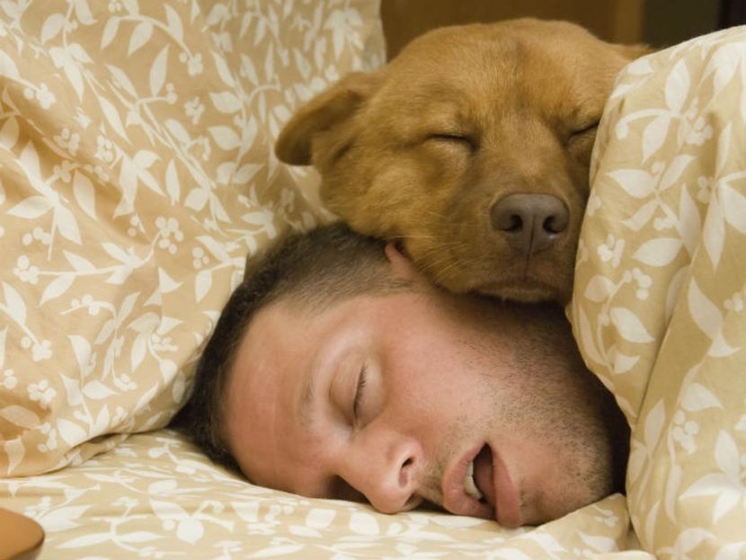Puede ser que el sueño no dependa de una causa específica, sino de una variedad de ellas. Foto: Thinkstock