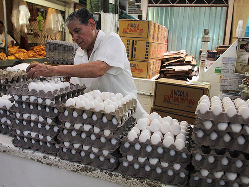 México ocupa el primer lugar como consumidor de huevo fresco, al alcanzar un consumo de 21.7 kilogramos per cápita y posee  el sexto lugar como productor. Foto: Cuartoscuro