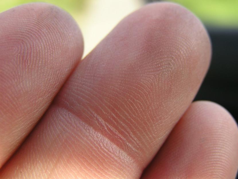 Bastan cinco minutos para digitalizar las huellas de los diez dedos de las manos de una persona y emitir un veredicto sobre sus capacidades y predisposiciones. Foto: Especial