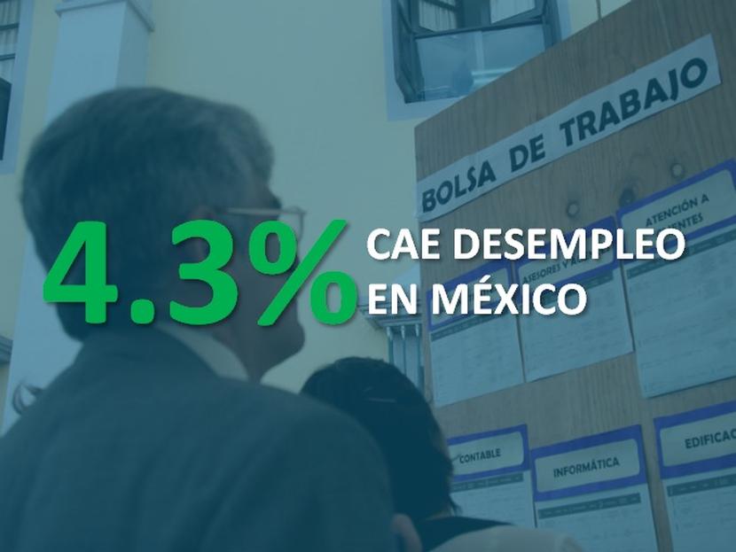 El desempleo en México durante julio bajó en una décima a 4.3% de la Población Económicamente Activa. Foto: Cuartoscuro
