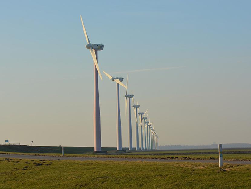 Coldwell subrayó que el proyecto de Energía Eólica del Sur tendrá 132 aerogeneradores para una capacidad total de 396 megawatts. Foto: Pixabay