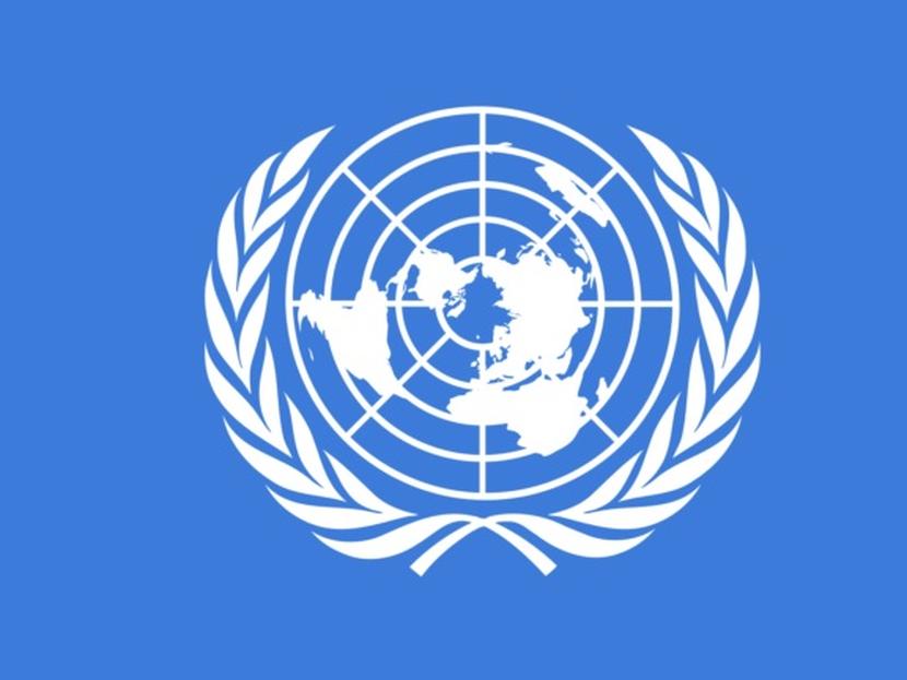 10 datos curiosos que quizá desconocías sobre ONU