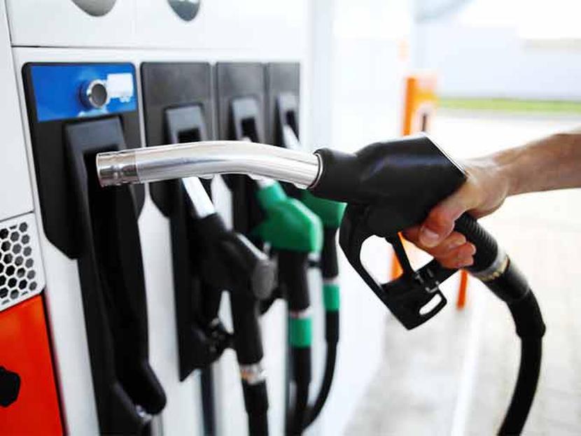 La gasolina magna pudo haber incrementado 8.2 por ciento. Foto: Archivo