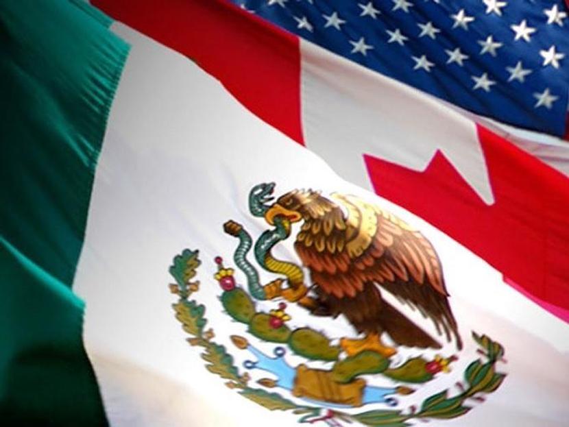 Expertos estiman que en dado caso de que México enfrentara una guerra comercial con EU, el país podría importar muchos productos de otras naciones gracias a su red de TLC con 46 países. Foto: Archivo 