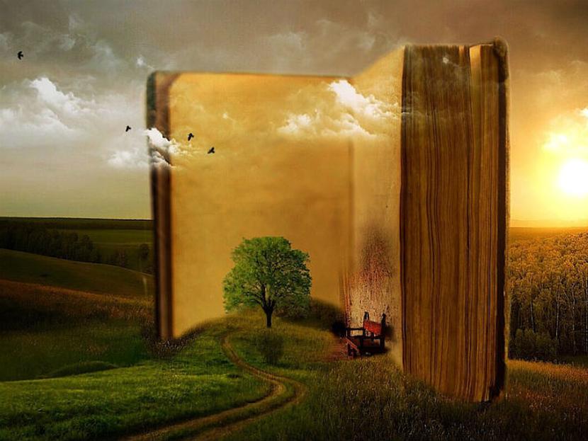 La lectura es uno de los catalizadores principales de la plasticidad del cerebro. Foto: Pixabay