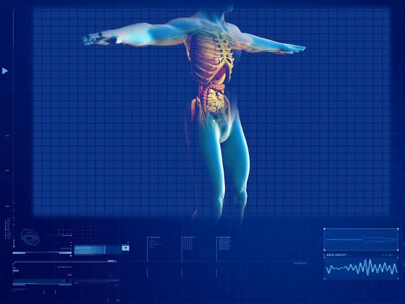 El premio Nobel de Economía 2012, Alvin Roth, desarrolló el Algoritmo de Compatibilidad para donación de riñón. Foto: Pixabay.