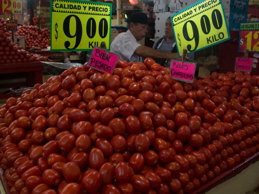 El gobierno mexicano debe dar un “golpe de timón” en la estrategia para apoyar a los productores y exportadores de jitomate rojo. Foto: Cuartoscuro 