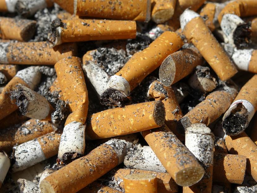  En la Cámara de Diputados se propuso sancionar económicamente a las personas que arrojen colillas de cigarro. Foto: Pixabay 