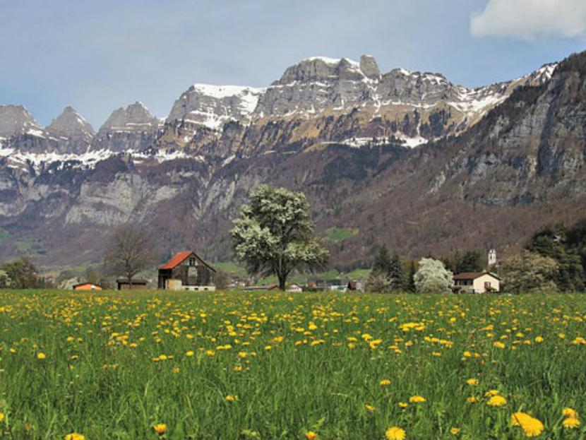 Los extranjeros y suizos que deseen participar, recibirán 70 mil dólares. Foto: Pixabay.