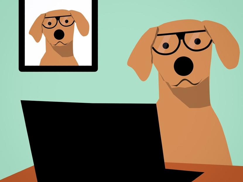 En Estados Unidos es cada vez más común que haya empresas con políticas que permiten a los colaboradores estar acompañados de sus perros. Foto: Pixabay.