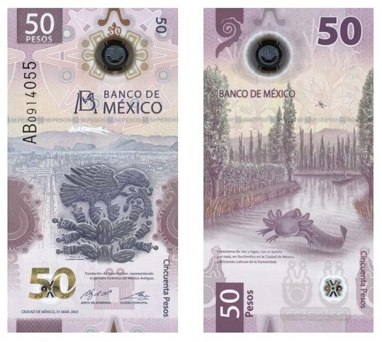 Billete de 50 pesos mexico ajolote