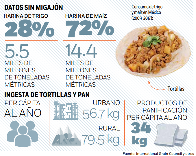 Mejor que un pan: Estos son los beneficios de las tortillas de maíz según  la UNAM – El Financiero