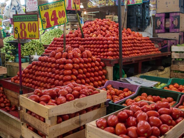 Productores y el Departamento de Comercio de los Estados Unidos se reúnen este jueves para la firma del convenio del tomate. Foto: Cuartoscuro 