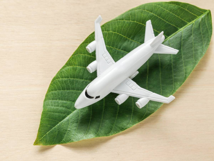 Avión blanco sobre hoja verde 
