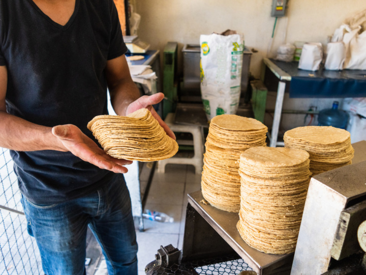 Hombre colocando una pila de tortillas en una tortillería