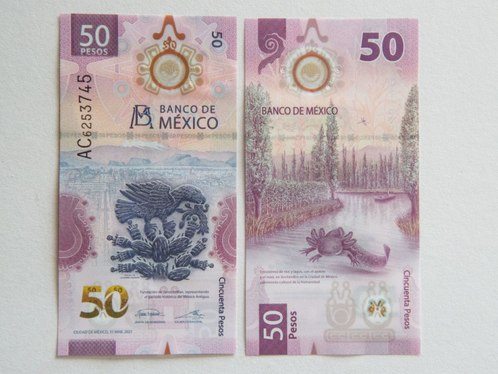 Billetes de 50 pesos del ajolote 