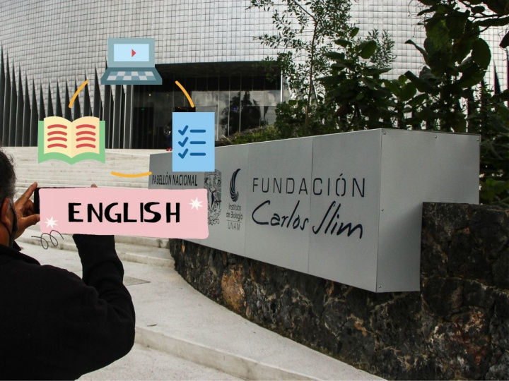 Fundación Slim cursos de inglés gratis