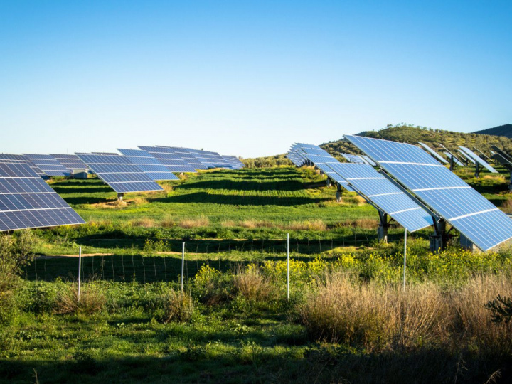 Empresa china adquiere participación mayoritaria de parques solares en Chihuahua. Foto: iStock.