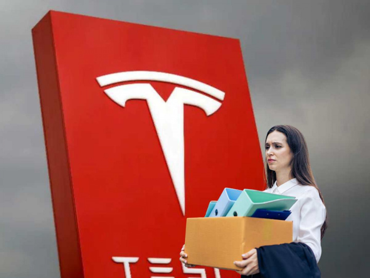Log o de Tesla, despidos