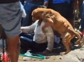 Perrito defiende a su dueña de ser linchada en Taxco 