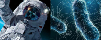 NASA identifica bacteria mutante que afectaría a astronautas