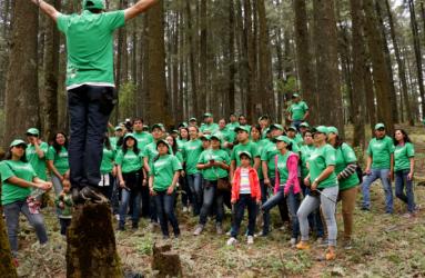 Alrededor de 100 partners y clientes se unieron para 'dar mantenimiento' a los 200 árboles plantados en septiembre de 2015. Foto: Starbucks