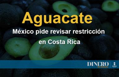 México solicitó formalmente a la Organización Mundial del Comercio el inicio de consultas con Costa Rica ante las restricciones a la importación de aguacate. Foto: Archivo