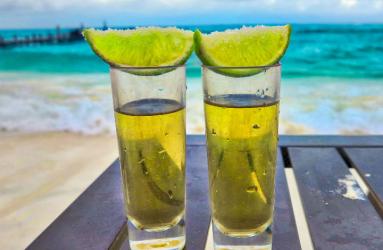 La industria mexicana del tequila volvió a romper récord en sus exportaciones con 222.7 millones de litros. Foto: Pixabay