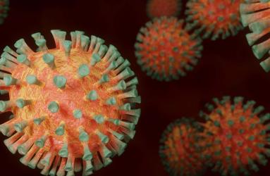 ¿Qué significa que el virus del covid haya mutado? Esto tienes que saber. Foto: Pixabay
