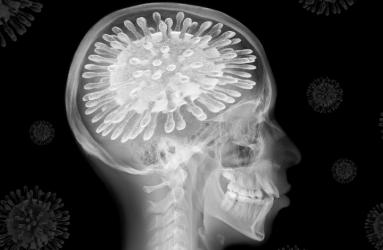Las pruebas cognitivas miden qué tan bien realiza tareas el cerebro, como recordar palabras o unir puntos en un rompecabezas. Foto: iStock