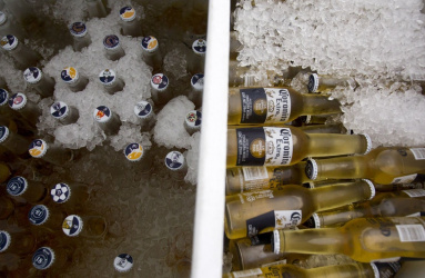 Cervezas de la marca Corona amontonadas con muchos hielos. 