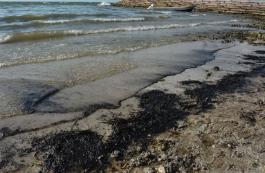 Playa contaminada con petróleo